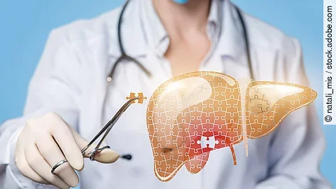 Holografisches Leber-Modell mit Ärztin im Hintergrund