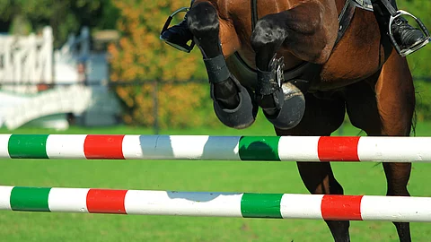 Ein braunes Pferd springt über ein Hindernis mit rot-grün-weiß gestreiften Stangen auf einem grünen Turnierplatz. Ein braunes Pferd springt über ein Hindernis mit rot-grün-weiß gestreiften Stangen auf einem grünen Turnierplatz.