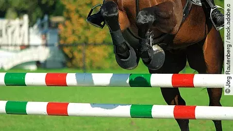 Ein braunes Pferd springt über ein Hindernis mit rot-grün-weiß gestreiften Stangen auf einem grünen Turnierplatz.