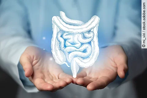 Gastroenterologist doctor, intestine specialist. Aesthetic handd