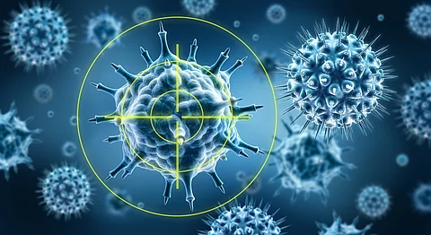 Virus im Visier