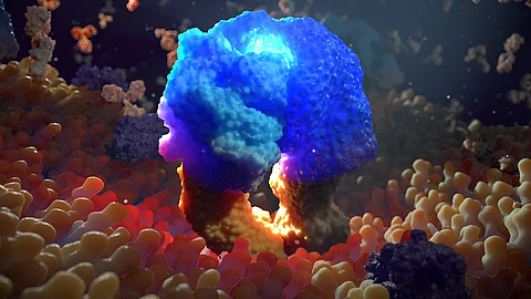 Cancer cell receptor on the cell surface on the bi lipid membrane layer front view