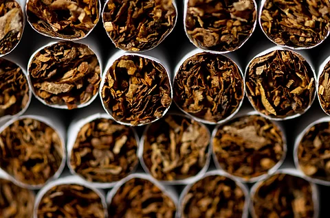 Zigaretten in Nahaufnahme