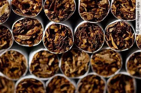 Zigaretten in Nahaufnahme