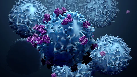 3D-Darstellung von Proteinen mit Lymphozyten, T-Zellen oder Krebszellen