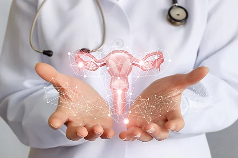 Mediziner zeigt ein Schema des Uterus Worker of medicine shows the uterus .