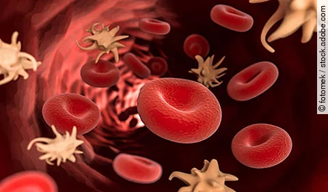 Rote Blutzellen im Fluss