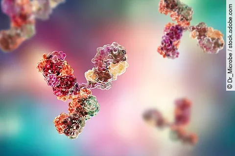 Molecular model of immunoglobulin
