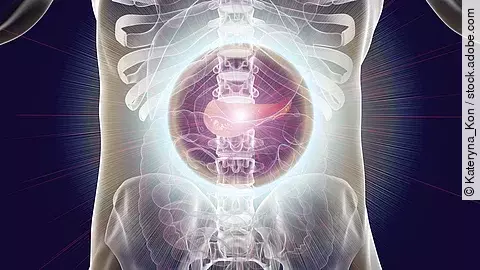 Grafische Darstellung des menschlichen Oberkörpers mit hervorgehobener Bauchspeicheldrüse im Zentrum, umgeben von Wirbelsäule und inneren Organen.