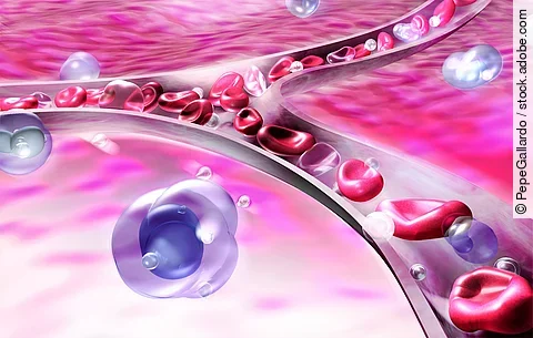 3d illustration of the anatomy of a vein or artery and blood circulation. On organic background with moving blood cells and platelets.