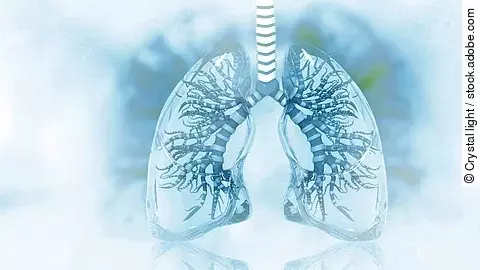 Illustration einer menschlichen Lunge in blauen Farbtönen, mit sichtbaren Bronchien und Gefäßen