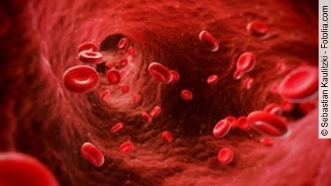 Erythrozyten im Blutgefäß