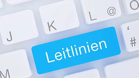 Taste "Leitlinien" auf einer Computertastatur