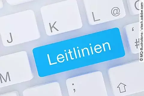 Taste "Leitlinien" auf einer Computertastatur